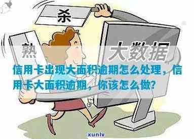 大面积信用卡逾期怎么办？额度大、处理方案全解析