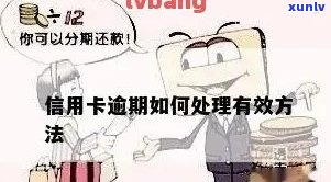 如何应对信用卡逾期问题：有效解决策略详解