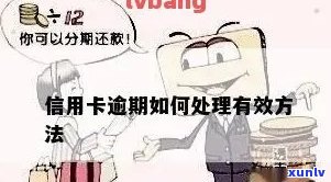 如何应对信用卡逾期问题：有效解决策略详解