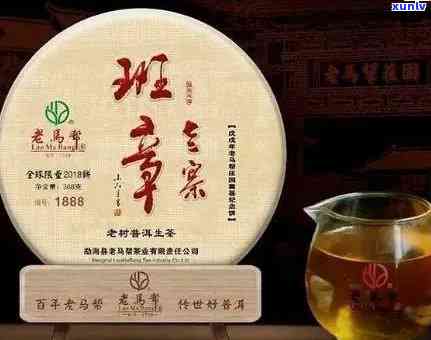 厦门地区高端老班章茗茶招商热线开启