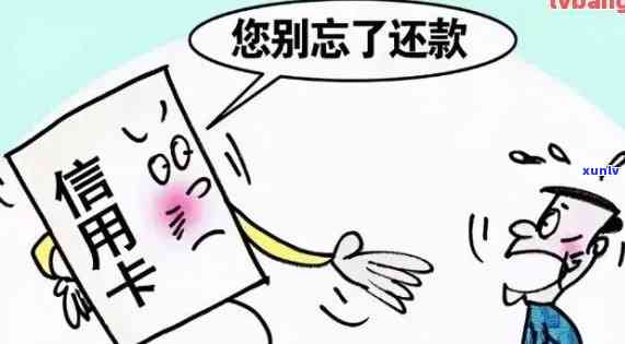 欠信用卡逾期无力偿还怎么办？官方投诉指南