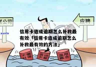 逾期以后怎么补救信用卡