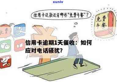 什么叫信用卡逾期逃避：行为、案件及 *** 应对指南