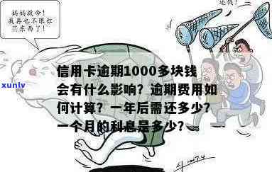 如何应对信用卡逾期被骗1000元的困境