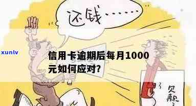 信用卡逾期被骗1000元