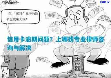 专业律师为您解答信用卡逾期欠款问题