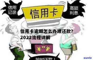 2022年信用卡逾期还款全流程解析