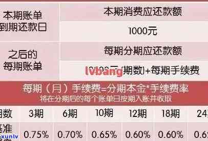 信用卡逾期半年，五万元债务如何解决？