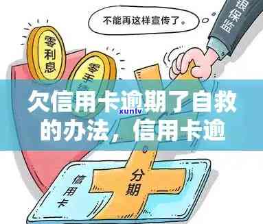 解决信用卡逾期难题：自救攻略全解析