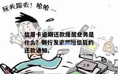 兰考县信用卡逾期提醒服务热线为您解决还款难题