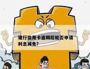 如何申请建行信用卡逾期免息服务？