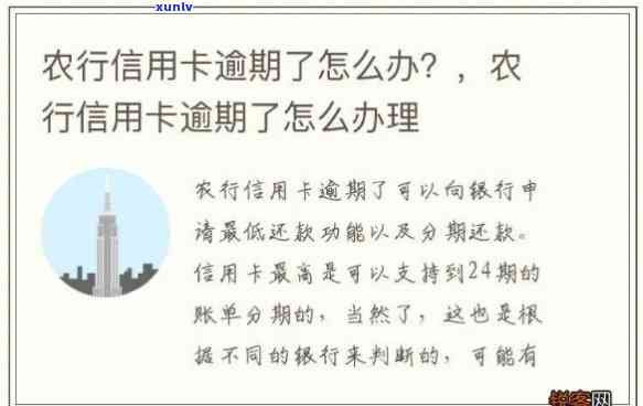 有逾期申请农行信用卡怎么办？逾期农行信用卡申请指南