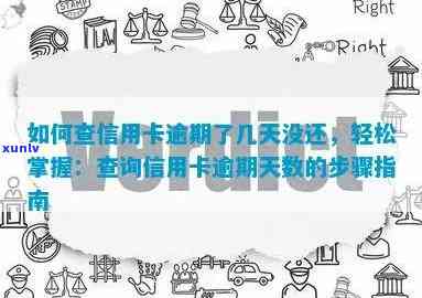 怎么查询信用卡逾期天数