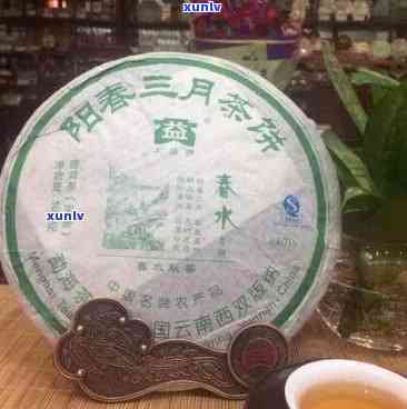 801阳春三月茶饼：品鉴春天的味道