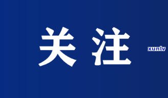 信用卡逾期上报经侦的实用性和效果分析