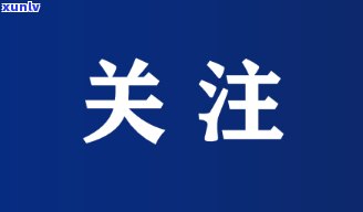 信用卡逾期上报经侦怎么办,信用卡逾期经侦来电处理指南