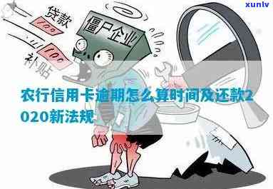 农行信用卡逾期还款日计算 *** 