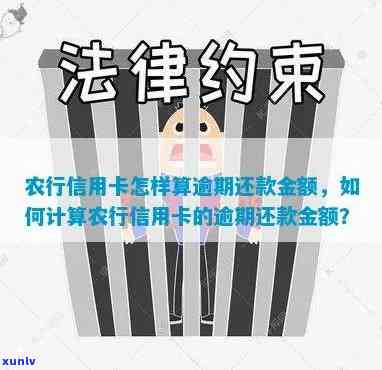 农行信用卡逾期还款日计算 *** 