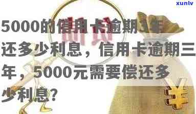 信用卡逾期5000元以下会怎么样，逾期费用及上详情