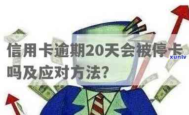 信用卡逾期20几天能用