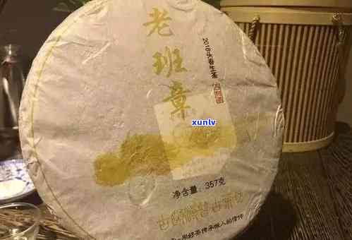 普号老班章：品鉴老班章王茶叶品质