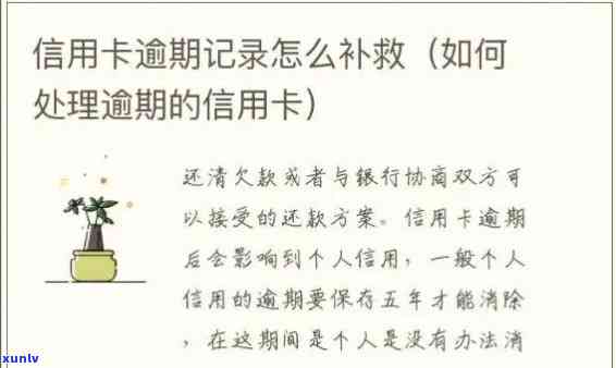 逾期信用卡恢复指南：如何有效处理并恢复逾期信用卡信用