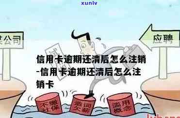 高冰翡翠如何分辨真假：详解辨识技巧