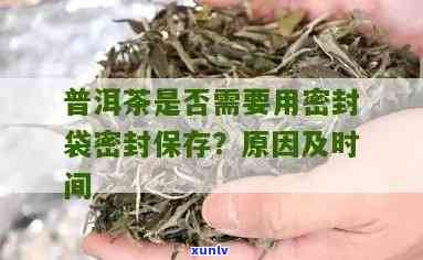 普洱要密封袋保存吗多久能喝：普洱茶密封与饮用时限解析