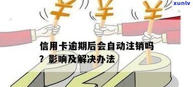 信用卡不用会逾期吗怎么办，长期不用的信用卡自动注销影响吗