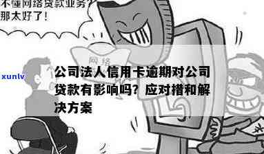 信用卡逾期说来我公司贷款解决方案提供商