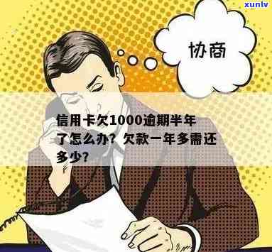 信用卡1000元逾期半年