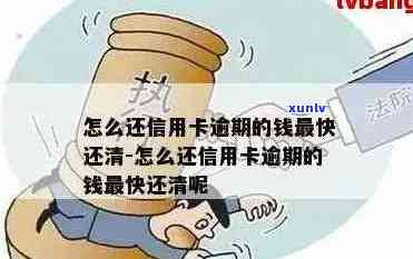 媳妇信用卡逾期了想尽快还清怎么操作