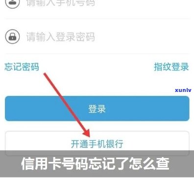 自己的信用卡号忘了怎么查：余额、额度查询 *** 