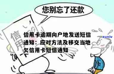 信用卡逾期告知移交当地怎么办？包含欠款通知手续全指南