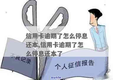 信用卡逾期怎么要求停息还本