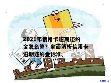 新标题：2021年信用卡逾期利息计算攻略：了解逾期罚息与违约金标准