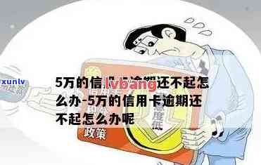 欠信用卡5万以上逾期不还款的后果与解决办法