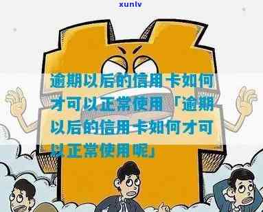 逾期算正常信用卡吗怎么办-逾期算正常信用卡吗怎么办理