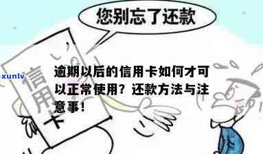 逾期算正常信用卡吗怎么办-逾期算正常信用卡吗怎么办理