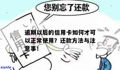 信用卡逾期还款新规定，这些注意事项你了解吗？