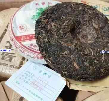 2011年下关班章老树茶：稀有普洱茶的珍贵体验