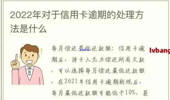 标题：信用卡逾期减免怎么申请？最新政策指导下如何书写申请书标准流程解析