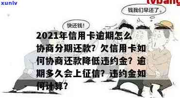 信用卡逾期怎么办：协商分期还款与服刑期间逾期处理指南