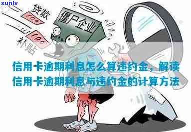 标题：信用卡逾期处理费用怎么算？违约金与逾期费计算方式及信用影响