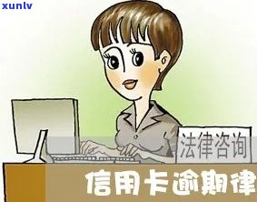 厦门信用卡逾期咨询律师