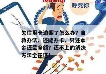 自救指南：拖欠信用卡还款？还不上怎么办？银行债务解决 *** 大揭秘！