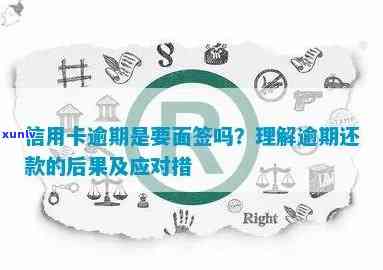 信用卡逾期去银行面谈注意事项：处理逾期的完整指南