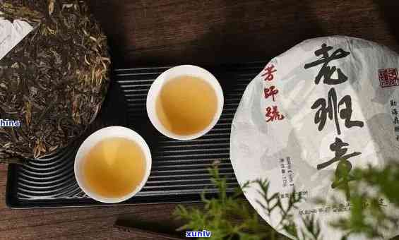 老班章文化发展茶叶与茶业全系列运营