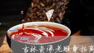 长春老班章 *** ：加盟排行榜普洱茶，打造行业领先