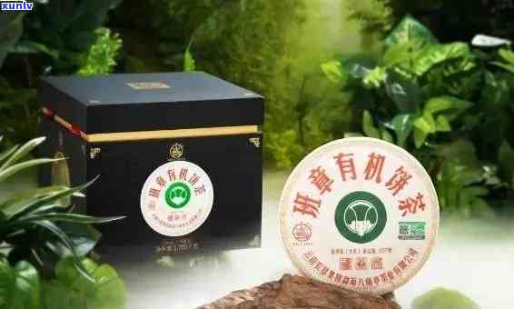 老班章茶叶加盟：一站式创业平台，优质普洱茶项目，只需万元起！